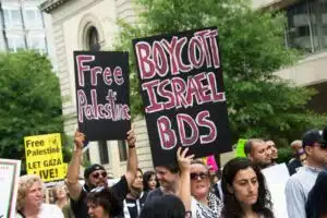 BDS ודה לגיטימציה